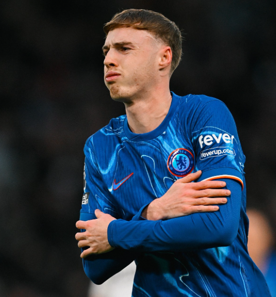 切尔西赛前动态：麦克法兰谈伤病与阵容，<a href='/news/tag/1084132' style='color: blue;'>帕尔默</a>或复出